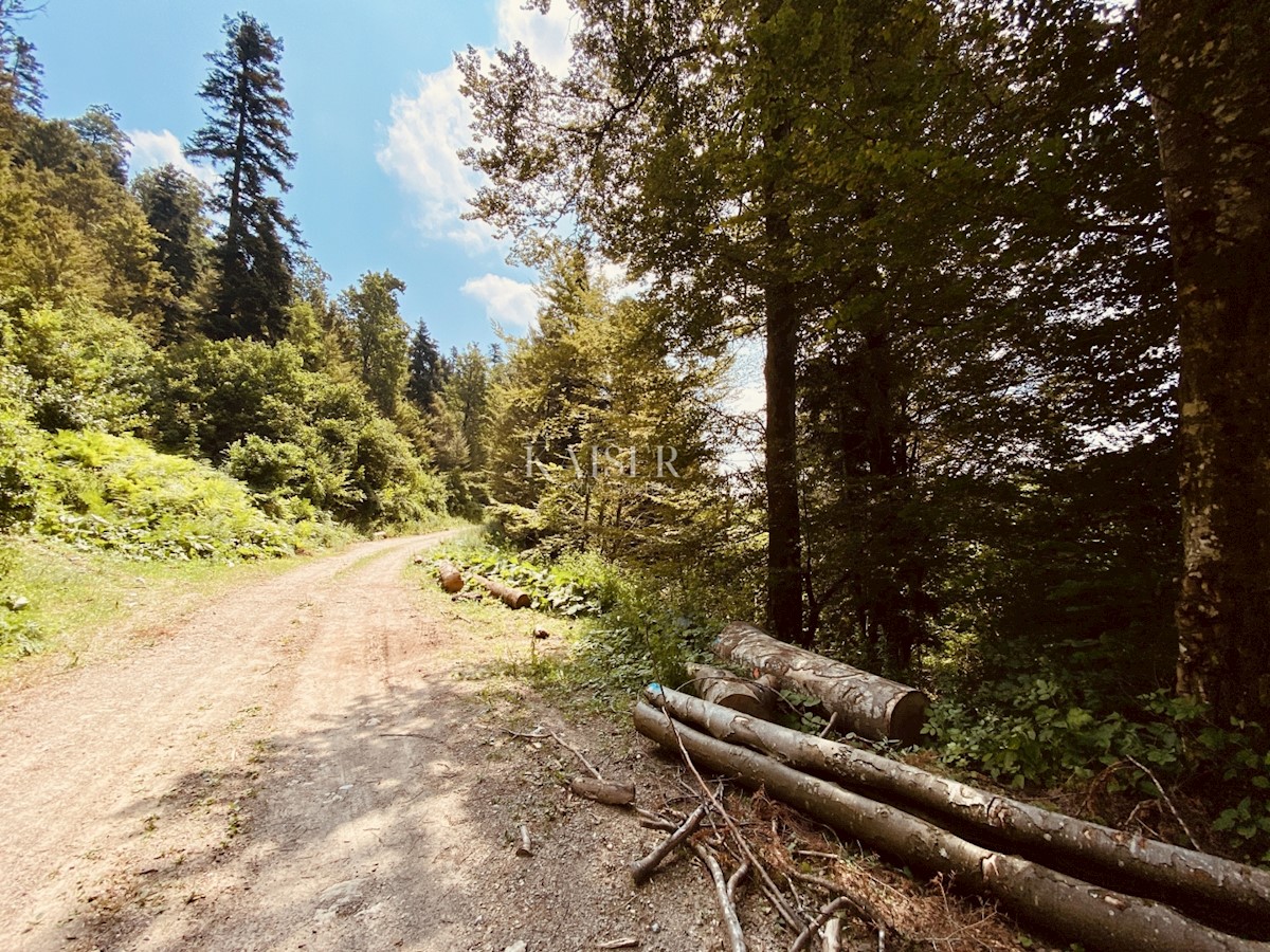 Fužine – Terreno edificabile di 7000 m2 vicino al lago