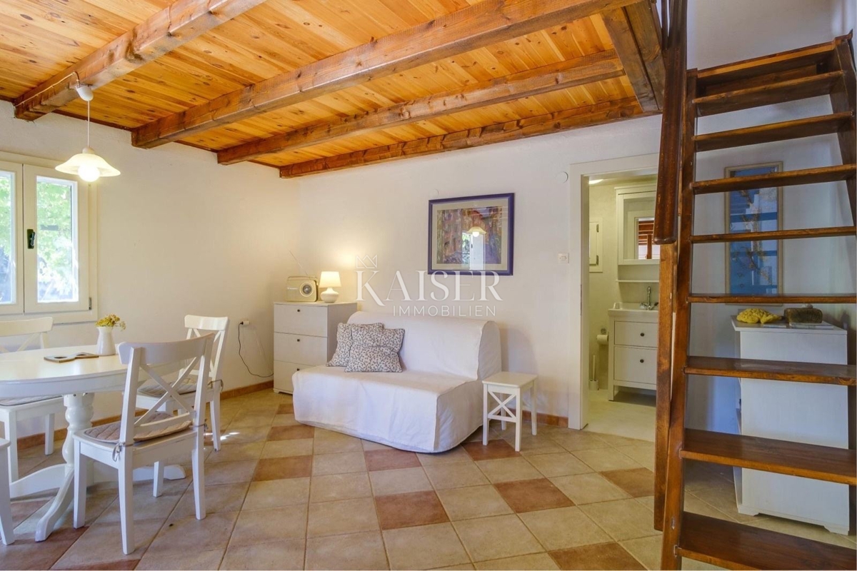 Mali Lošinj - casa in pietra nella natura 