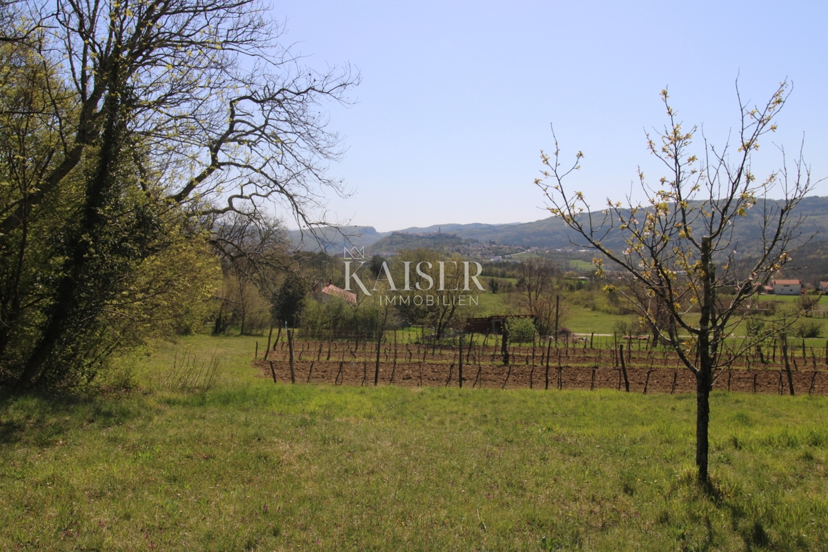 Istria - Buzet, casa con terreno di 20000 m2