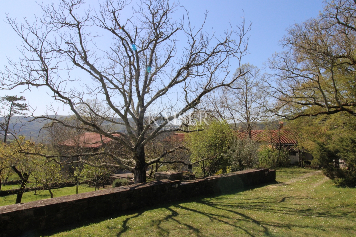 Istria - Buzet, casa con terreno di 20000 m2
