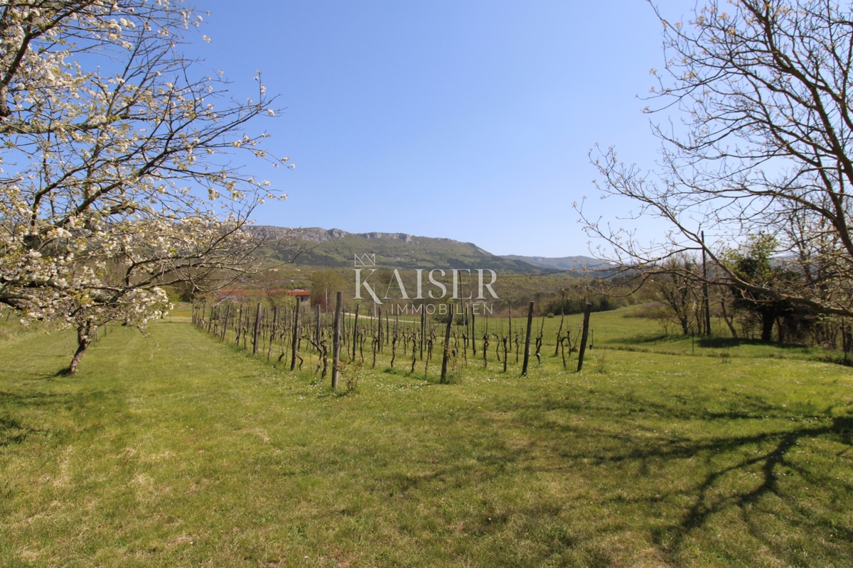 Istria - Buzet, casa con terreno di 20000 m2