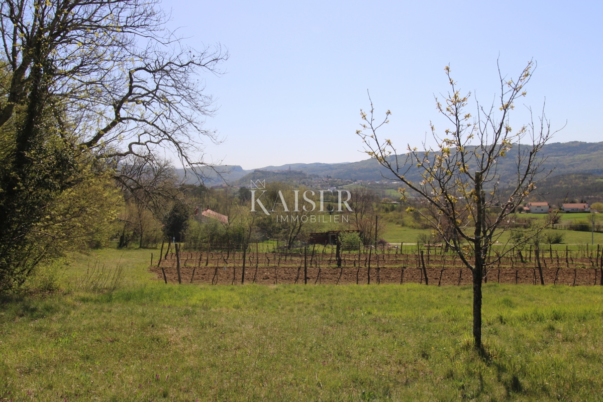 Istria - Buzet, casa con terreno di 20000 m2