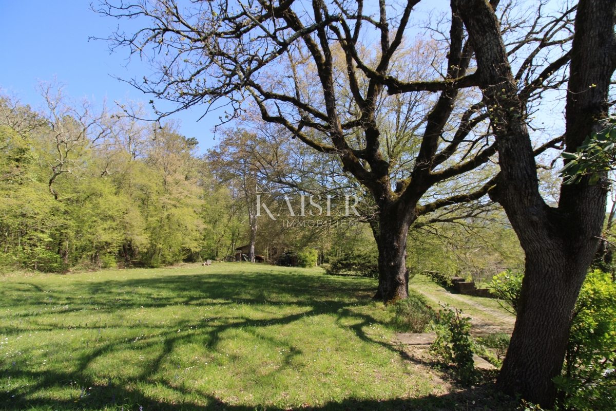 Istria - Buzet, casa con terreno di 20000 m2
