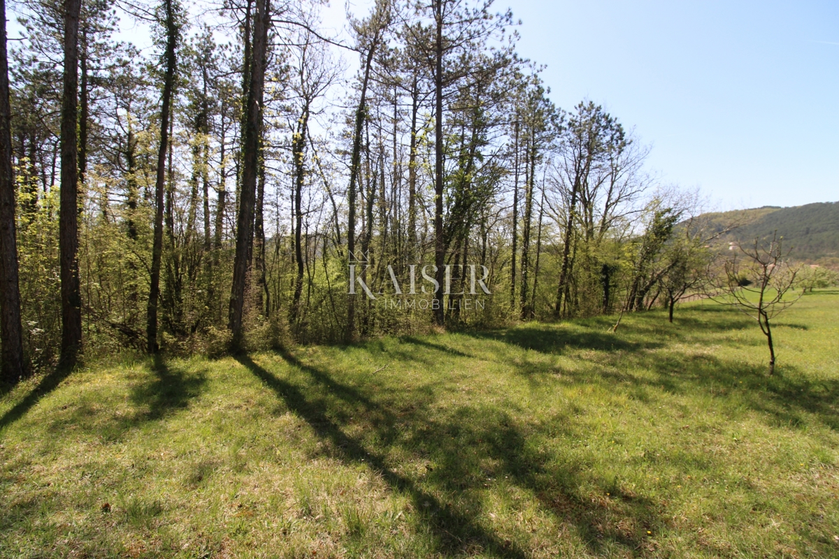 Istria - Buzet, casa con terreno di 20000 m2