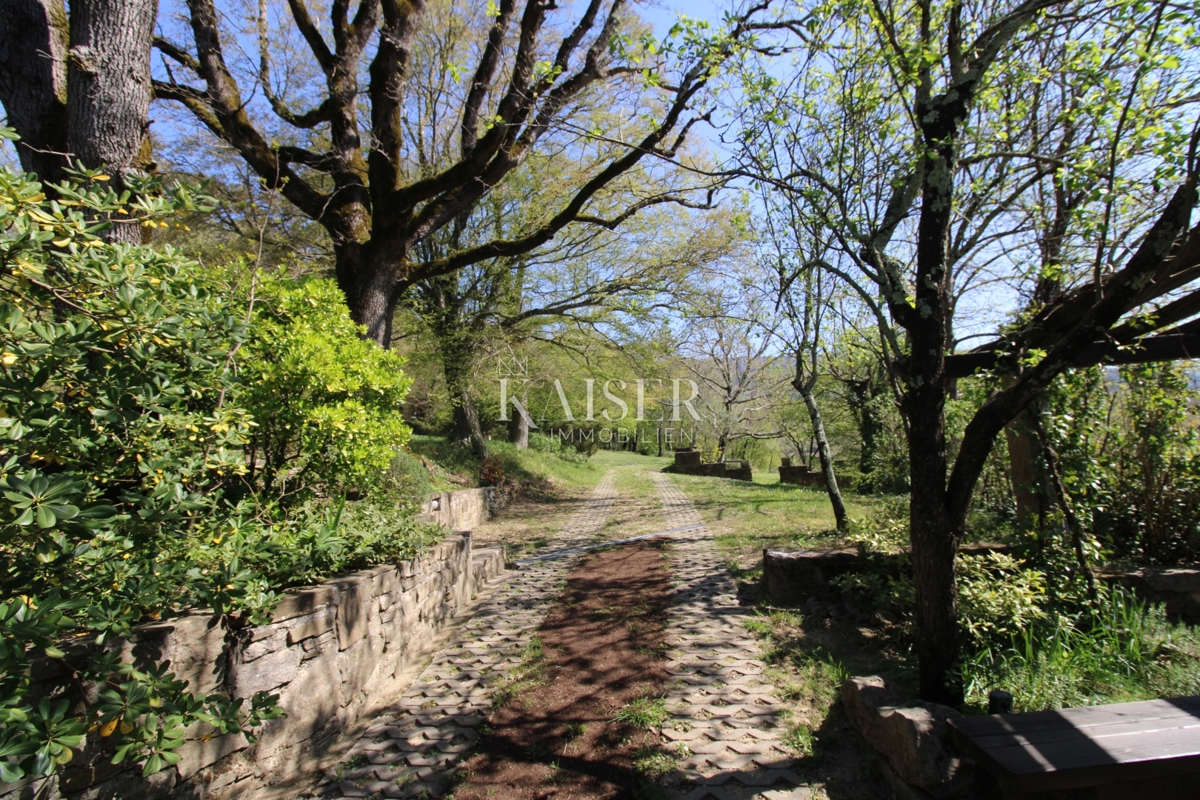 Istria - Buzet, casa con terreno di 20000 m2