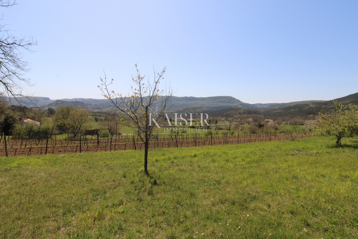 Istria - Buzet, casa con terreno di 20000 m2