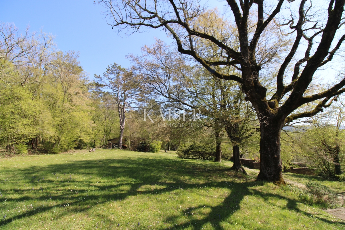 Istria - Buzet, casa con terreno di 20000 m2