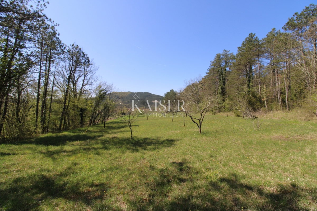 Istria - Buzet, casa con terreno di 20000 m2