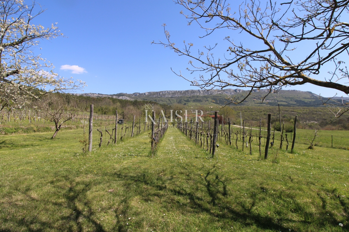 Istria - Buzet, casa con terreno di 20000 m2