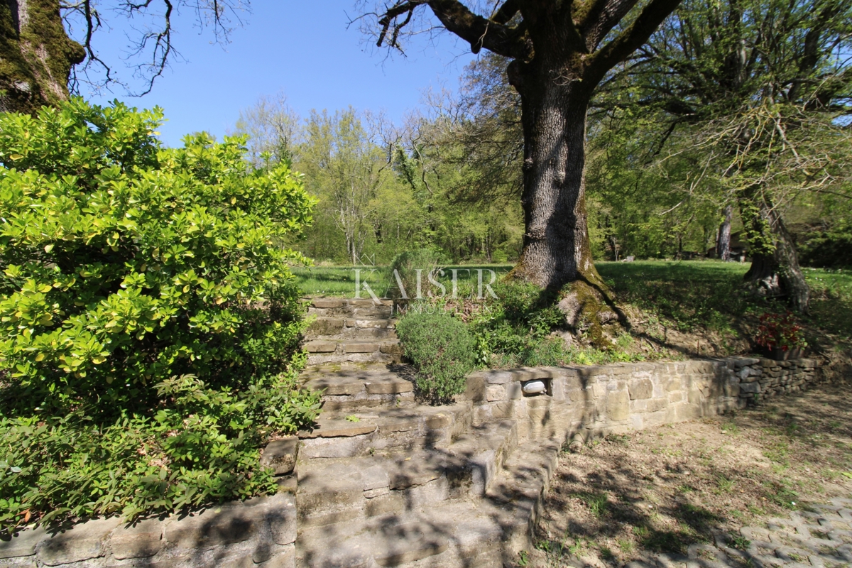 Istria - Buzet, casa con terreno di 20000 m2