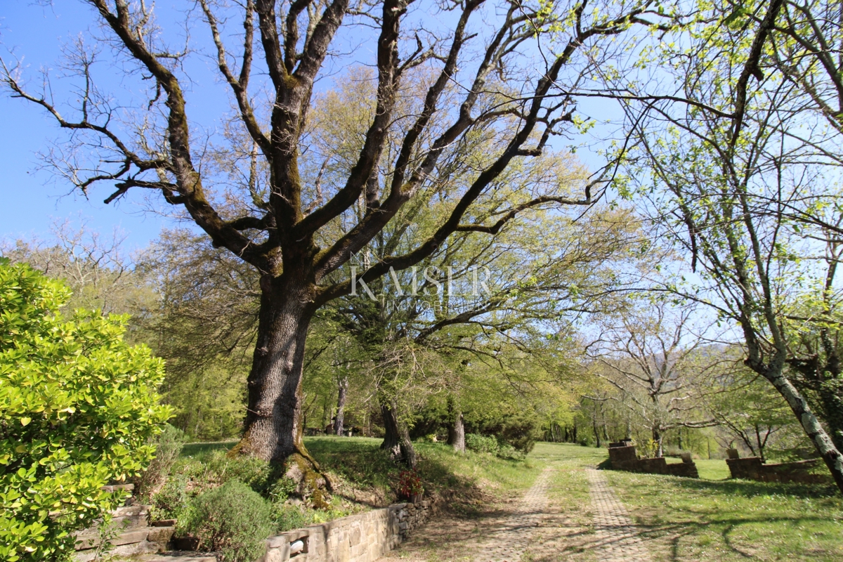 Istria - Buzet, casa con terreno di 20000 m2