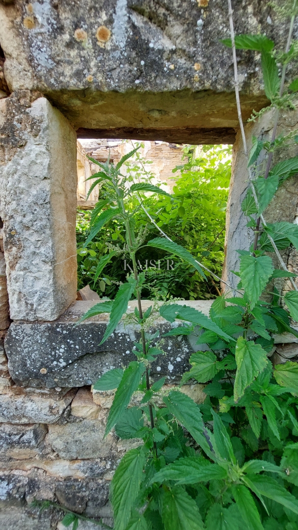 Земля під забудову Grožnjan, 1.017m2