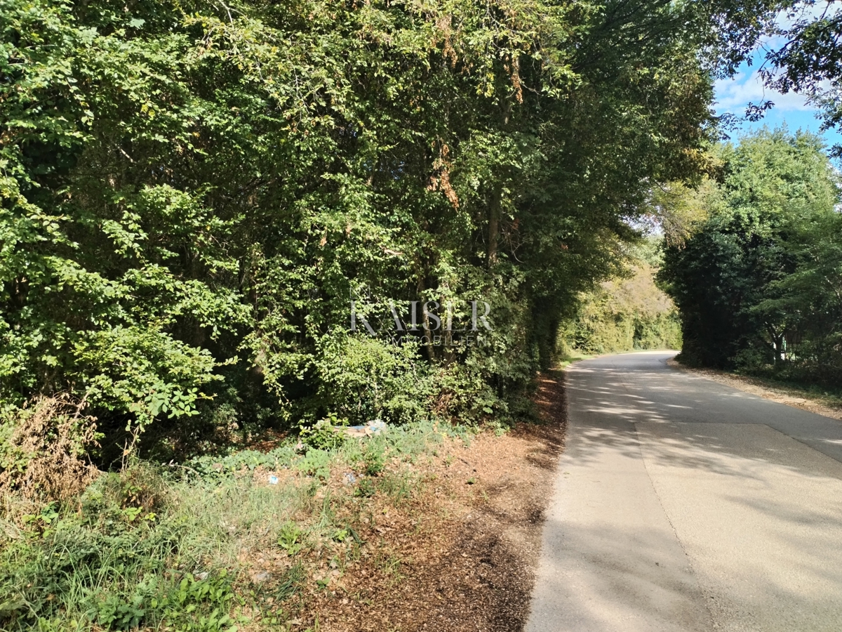 Istria, Umago, Stella Maris, terreno edificabile T2, 2500m2