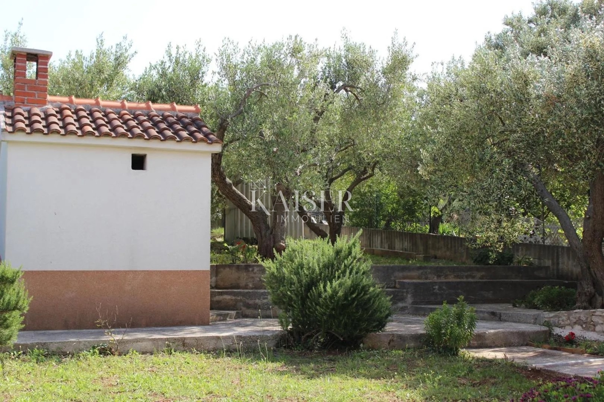 Isola di Brač - Bellissima casa in pietra con cinque appartamenti, uliveto e vista panoramica sul mare