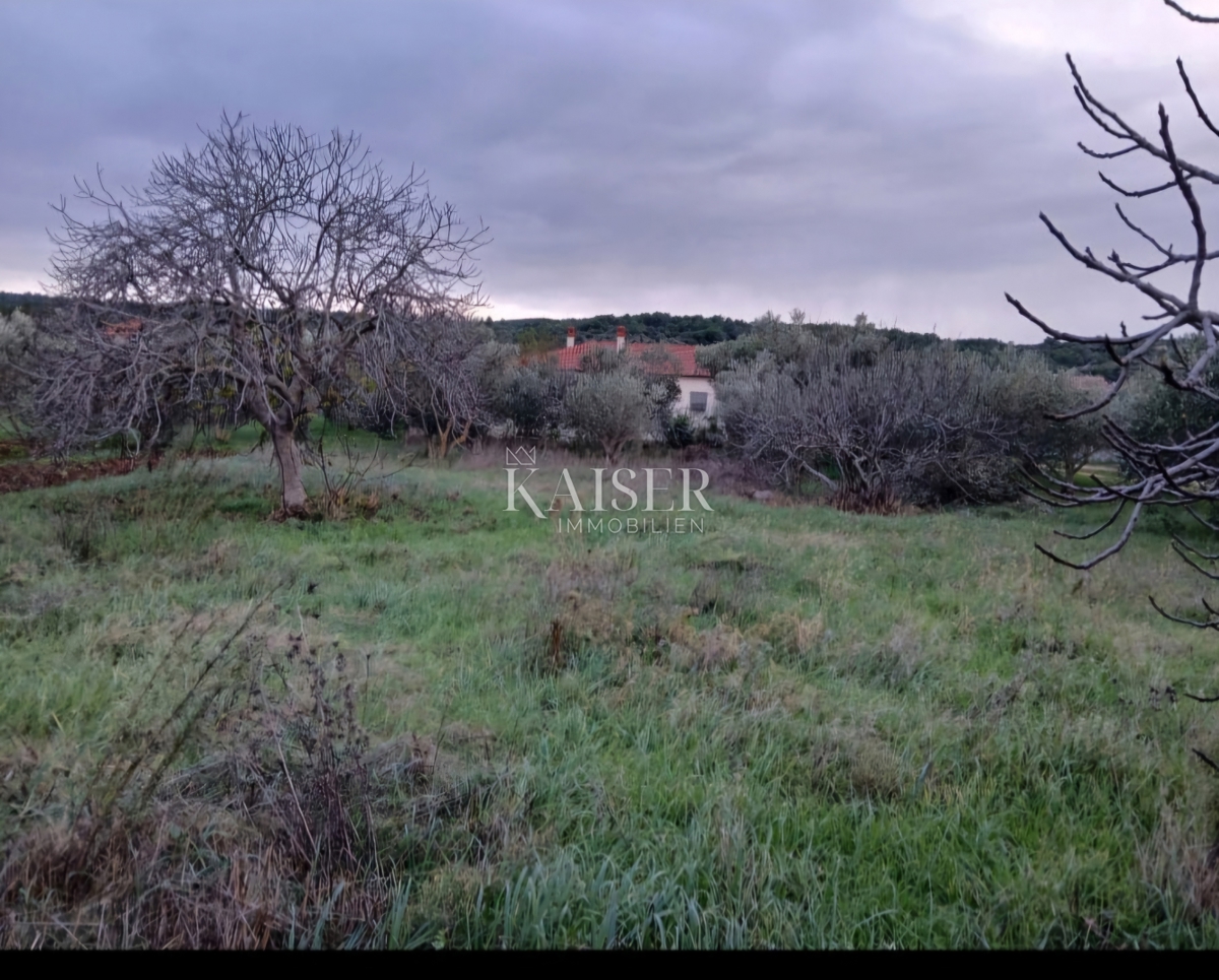 Isola di Pašman - Terreno edificabile prima fila al mare