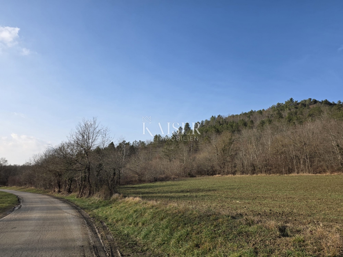 Istria, Motovun - terreno edificabile 37000m2