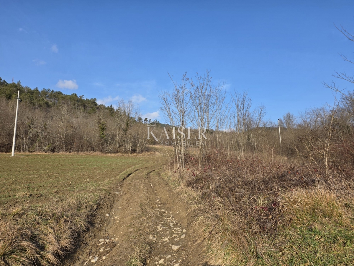 Istria, Motovun - terreno edificabile 37000m2