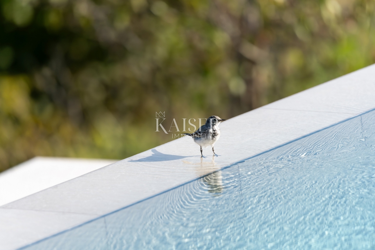 Momiano, Istria, un'oasi di lusso sulle colline della magica Momiano