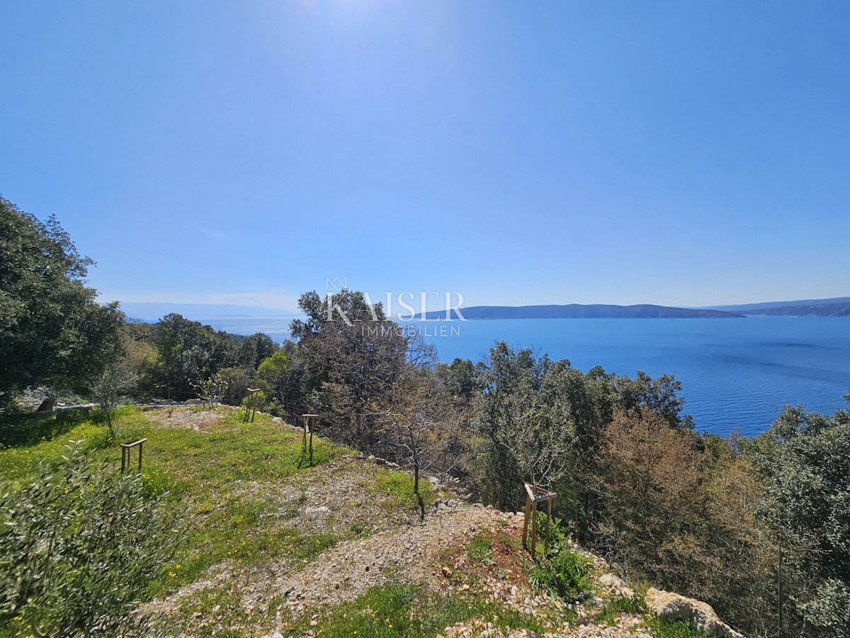 Isola di Krk - terreno agricolo 1a fila al mare