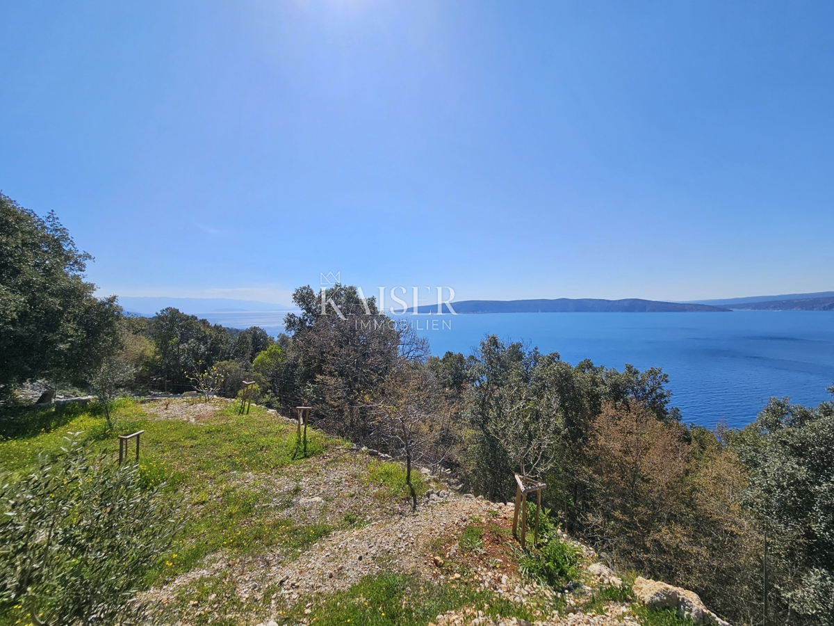 Isola di Krk - terreno agricolo 1a fila al mare