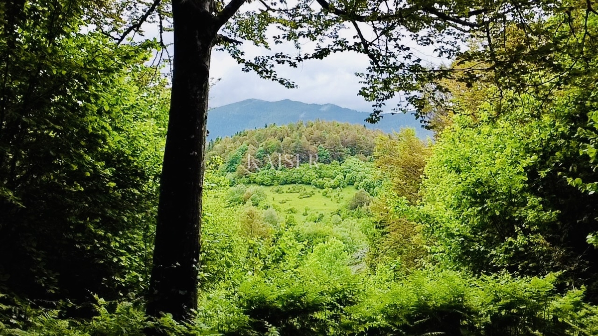 Земля під забудову Crni Lug, Delnice, 1.324m2