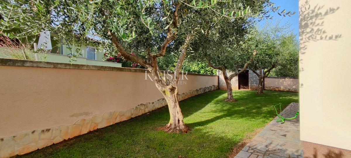  Ville Medulin, 530m2