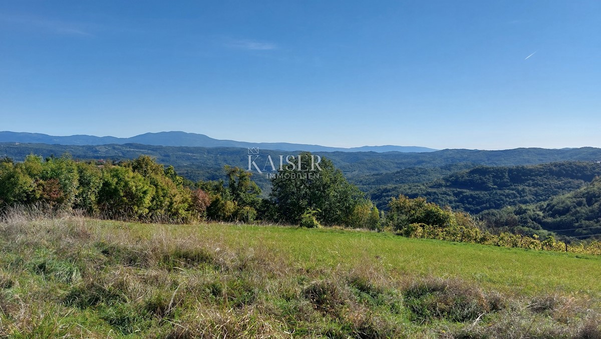 Istria, zona Montona, terreno edificabile con permesso per una casa