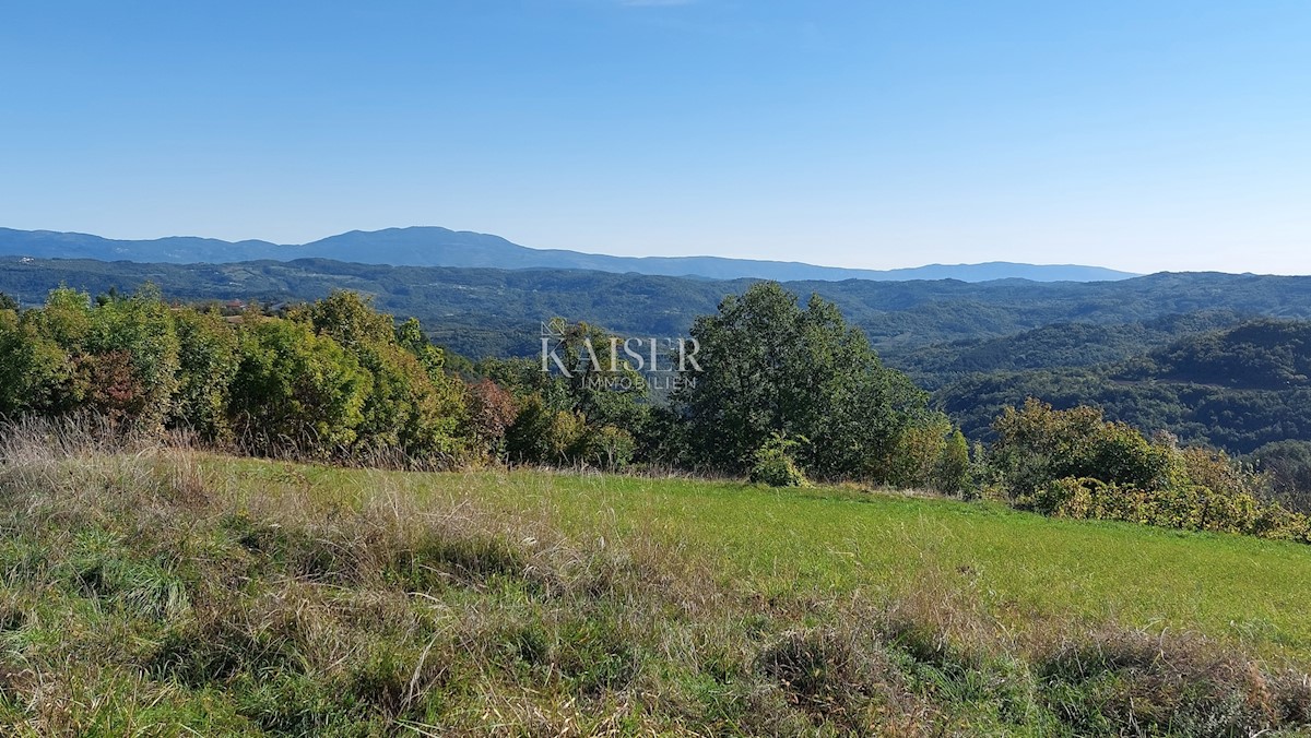 Istria, zona Montona, terreno edificabile con permesso per una casa