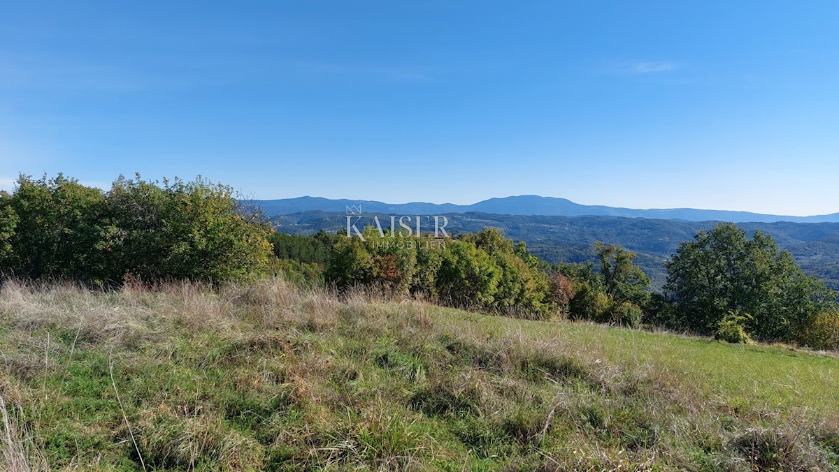 Istria, zona Montona, terreno edificabile con permesso per una casa