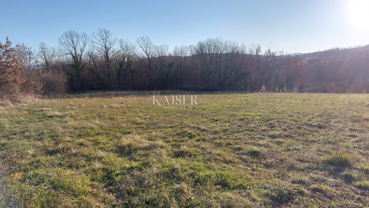 Земля під забудову Motovun, 1.146m2