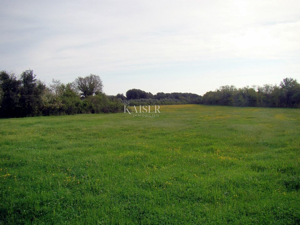 Liznjan - terra attraente