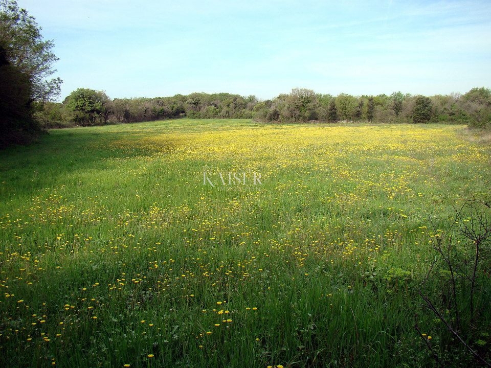 Liznjan - terra attraente