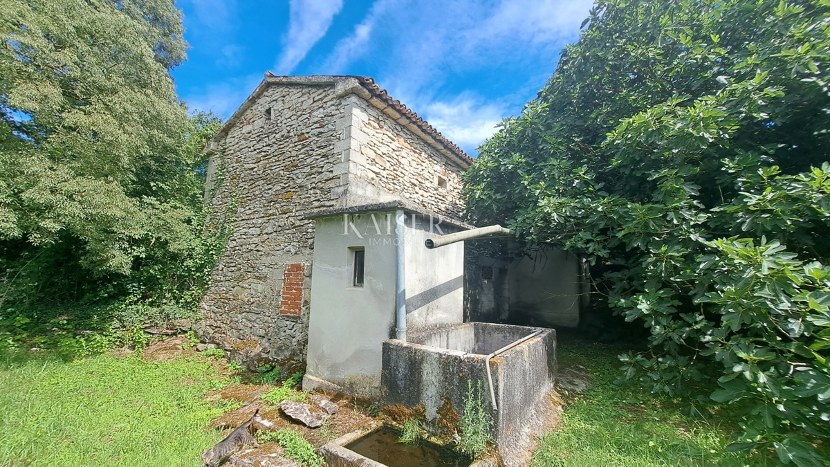 Tenute Šumber, Sveta Nedelja, 25.129m2