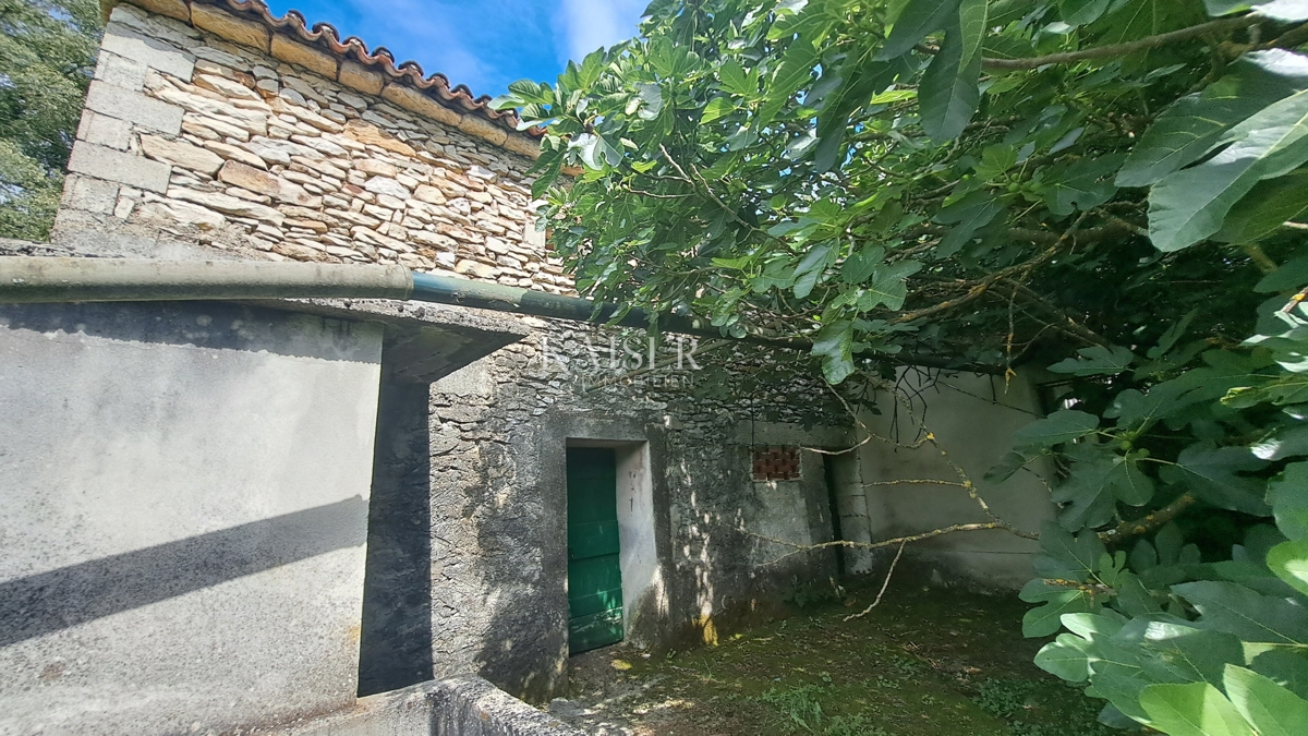 Tenute Šumber, Sveta Nedelja, 25.129m2
