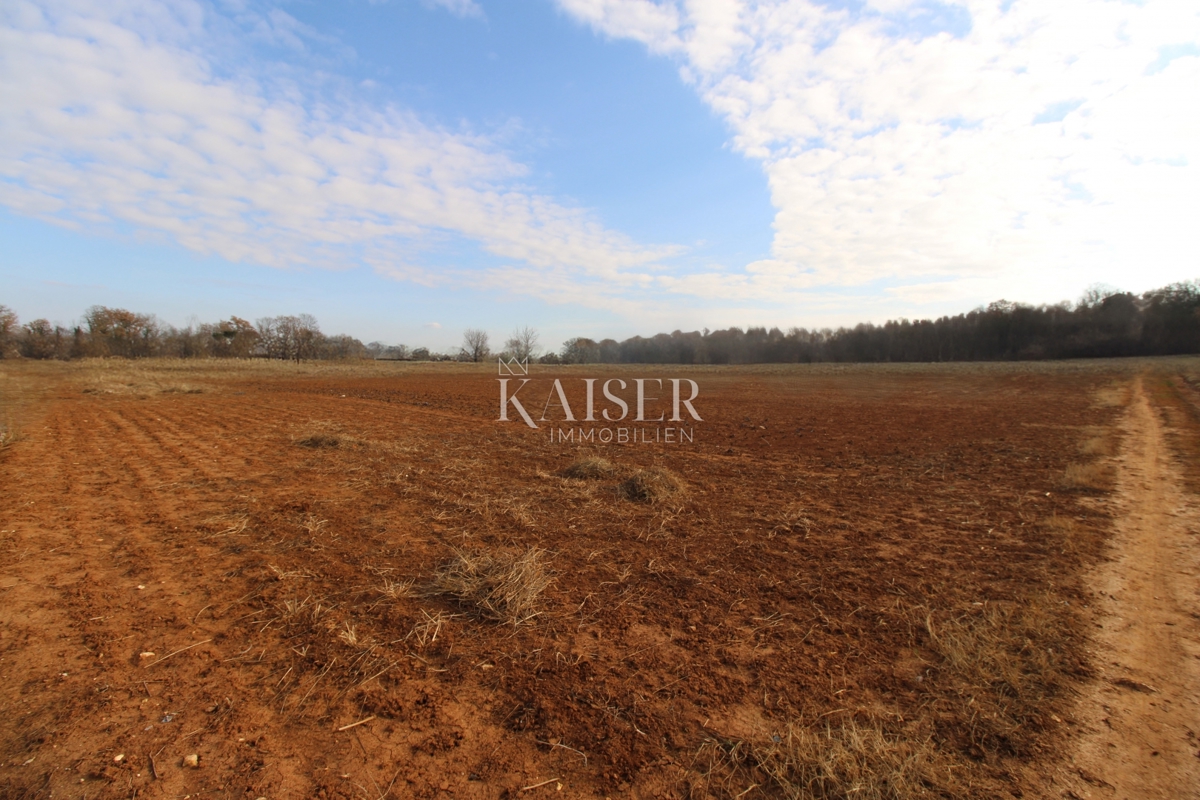 Istria - Parenzo, terreno attraente a 500 m dal centro di Parenzo -7326m2