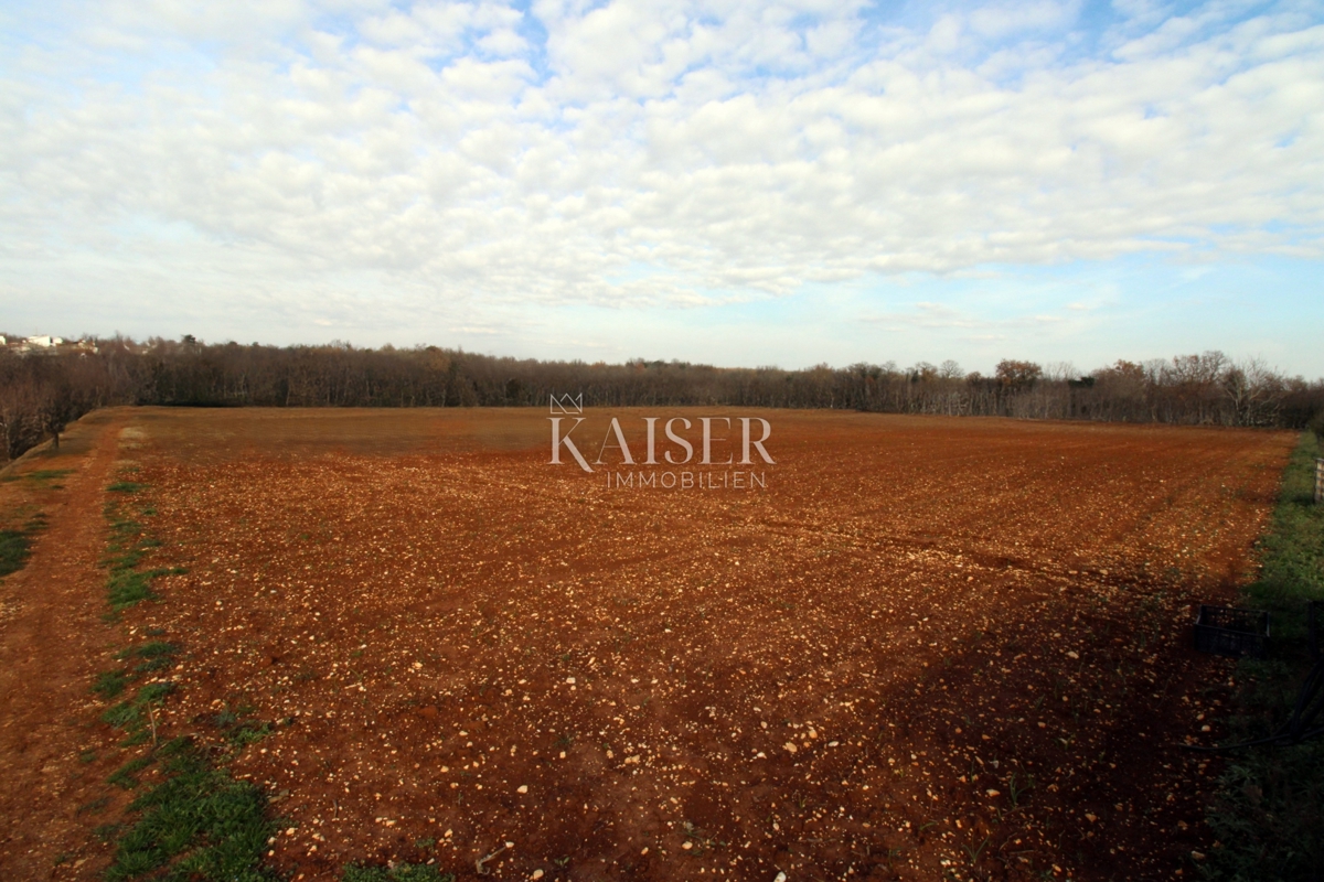 Istria - Parenzo, terreno attraente a 500 m dal centro di Parenzo -7326m2