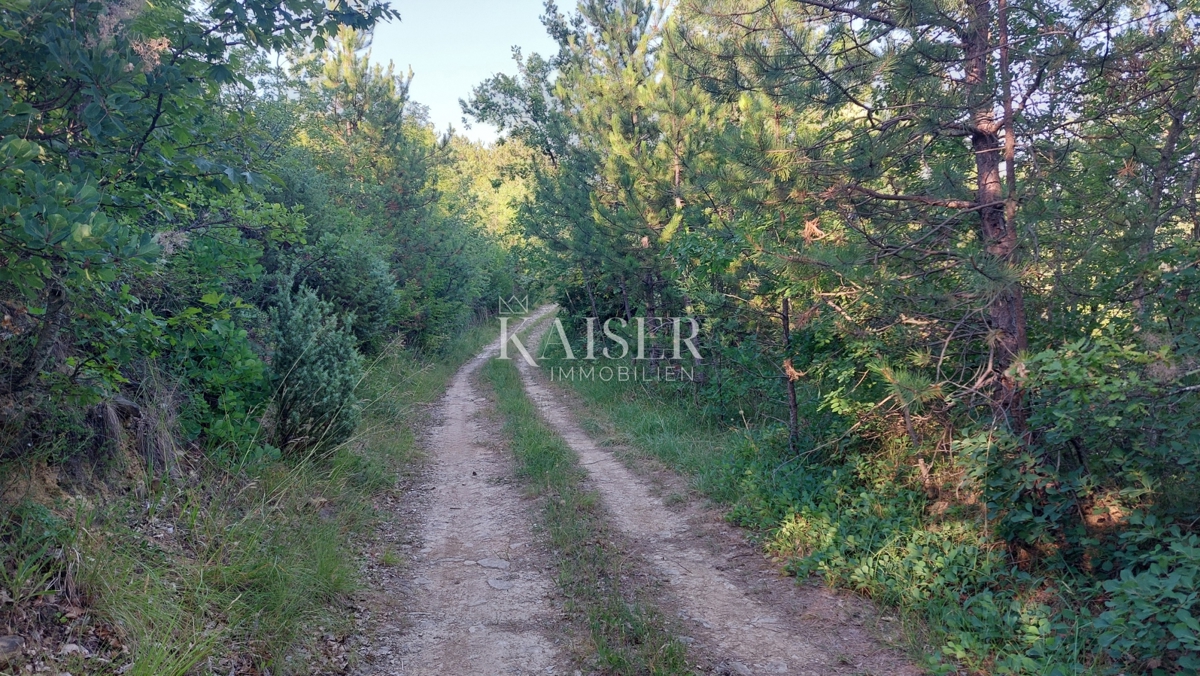 Istria, zona di Buzet - terreno agricolo 2,4 ha, possibilità di edificazione