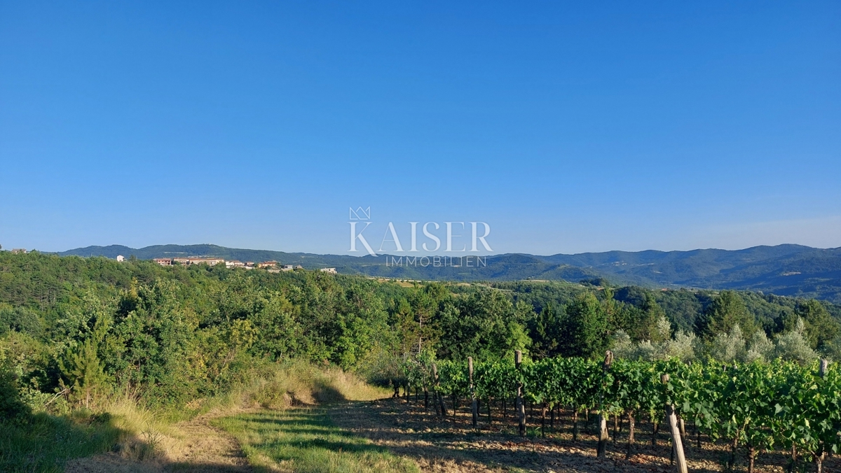 Istria, zona di Buzet - terreno agricolo 2,4 ha, possibilità di edificazione