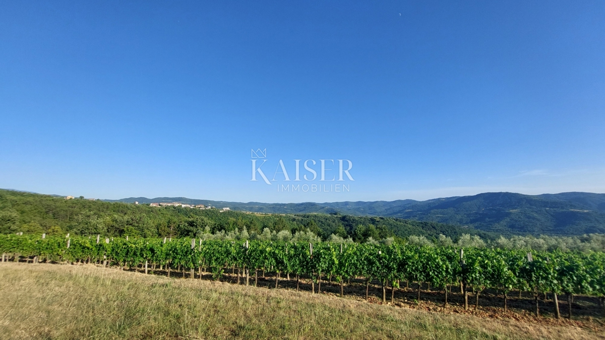 Istria, zona di Buzet - terreno agricolo 2,4 ha, possibilità di edificazione