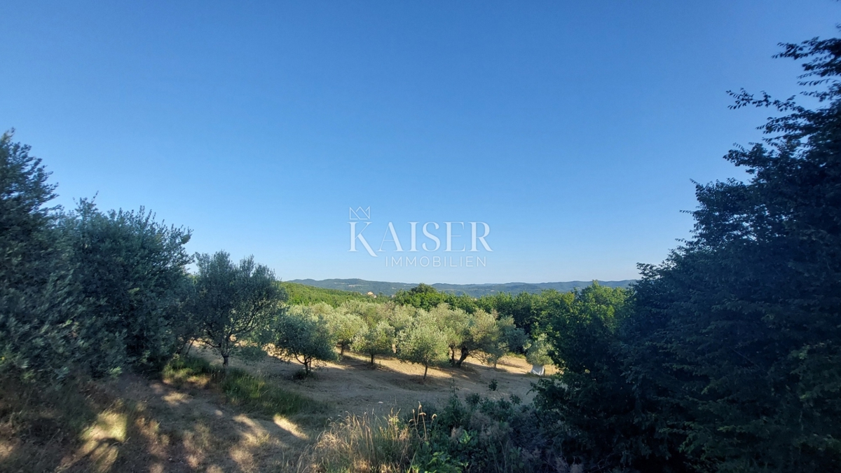 Istria, zona di Buzet - terreno agricolo 2,4 ha, possibilità di edificazione