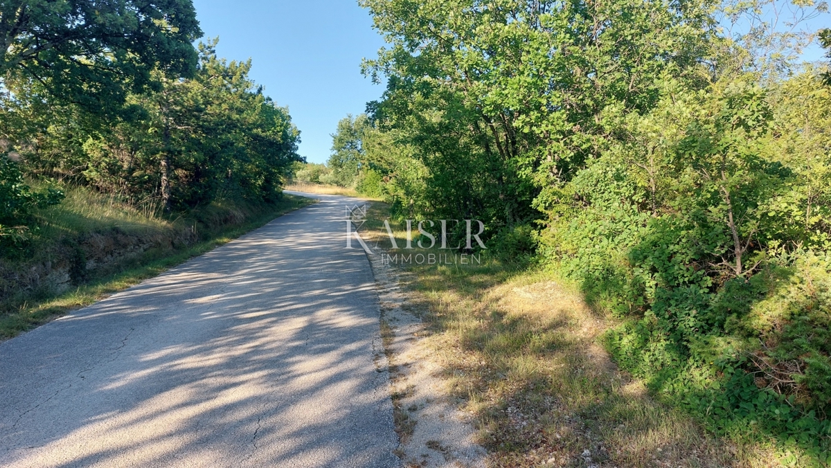 Istria, zona di Buzet - terreno agricolo 2,4 ha, possibilità di edificazione