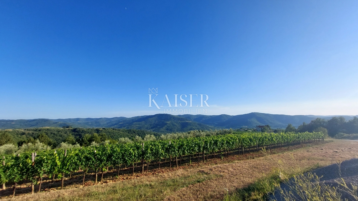 Istria, zona di Buzet - terreno agricolo 2,4 ha, possibilità di edificazione