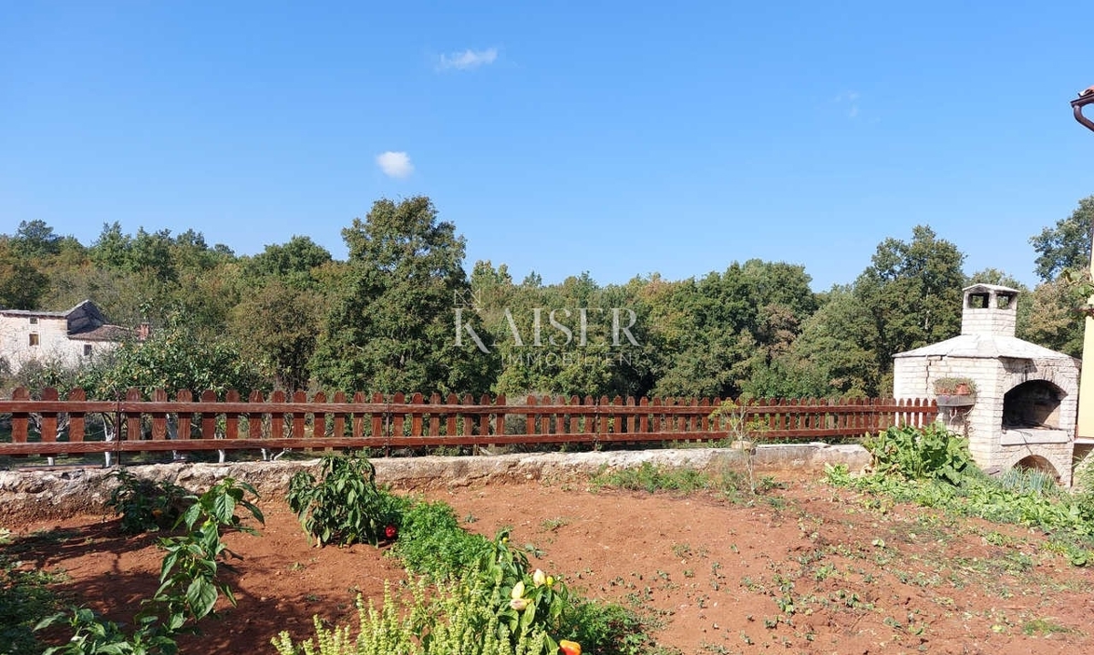 Istria, zona Grisignana - casa indipendente 396m2