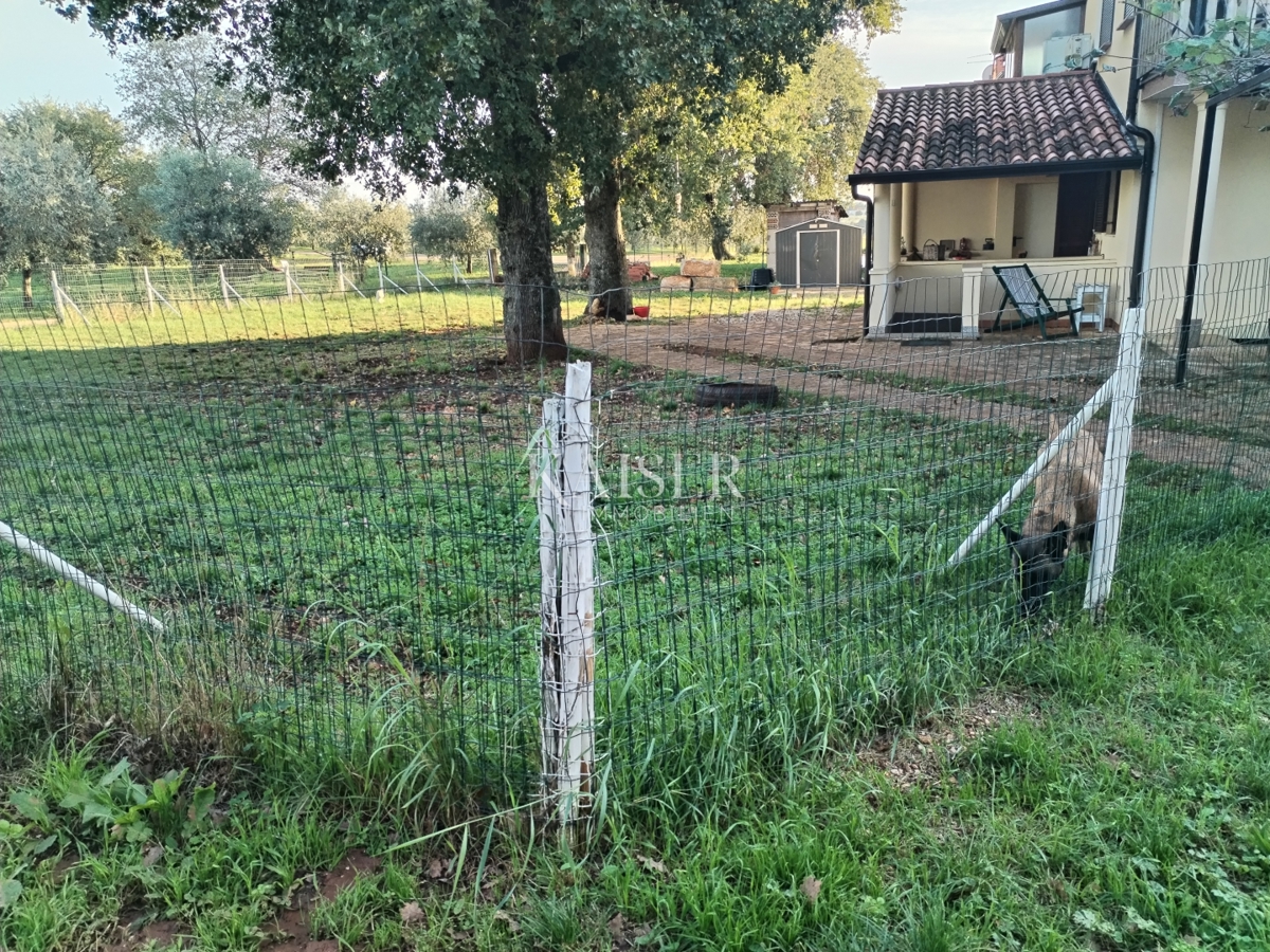 Istria, Cittanova, 2 appartamenti in vendita, ciascuno di 64m2