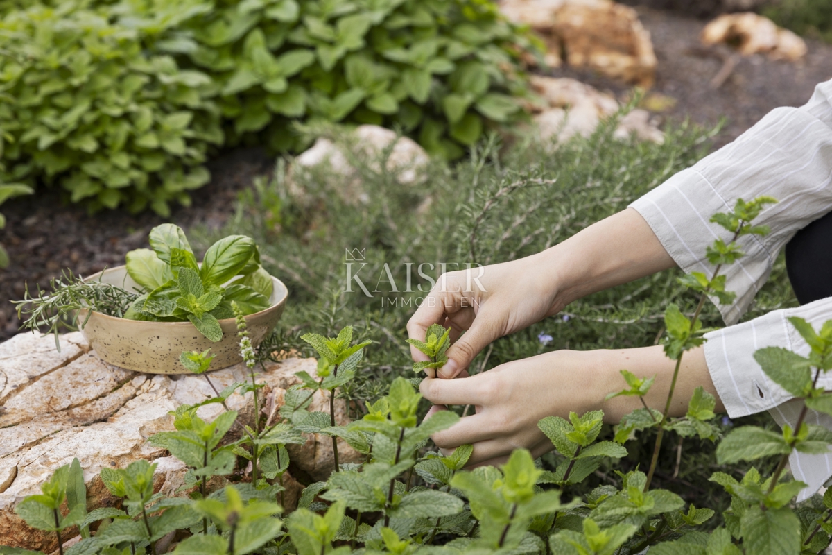 Istria - Parenzo, villa di lusso con vista mare, piscina e sauna