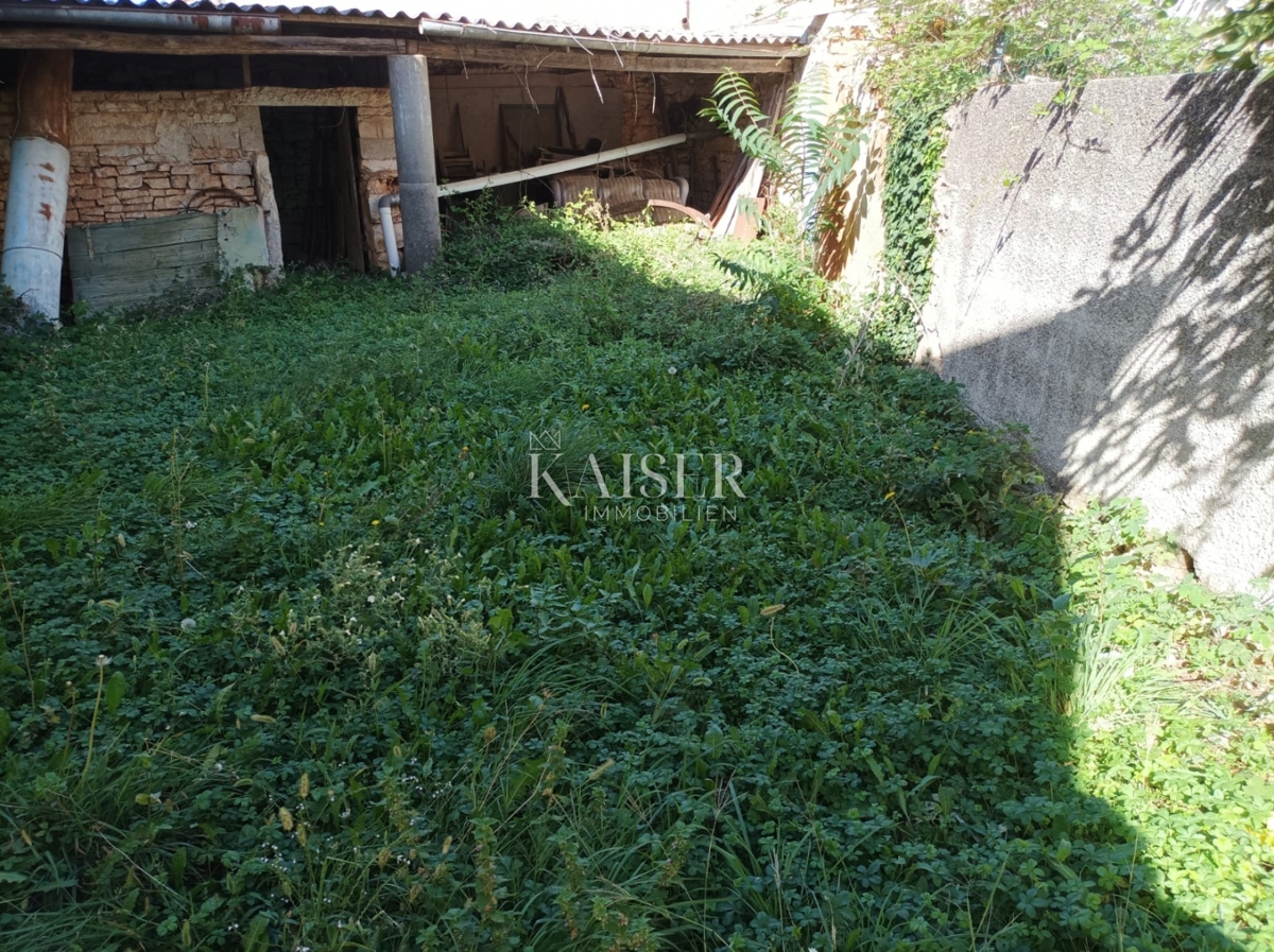 Istria - Visignano, due case antiche con giardino