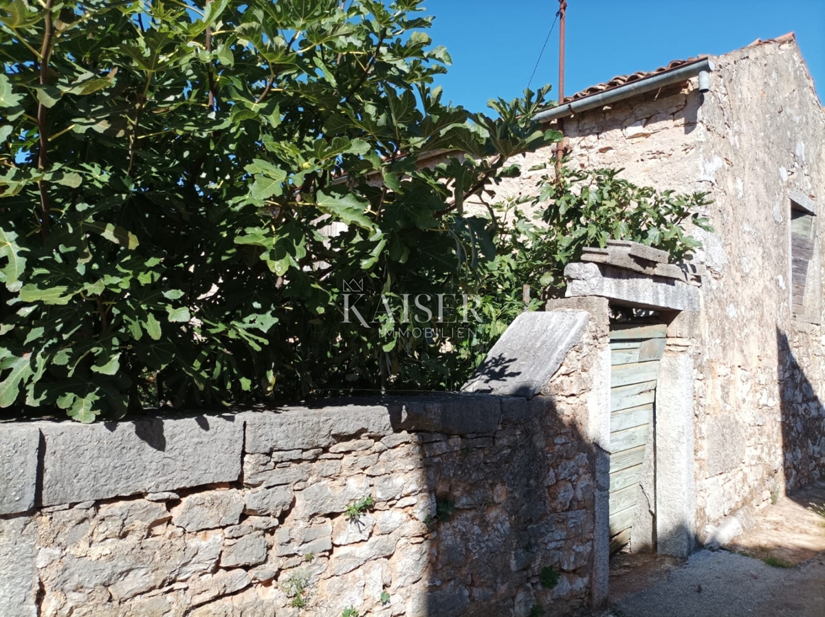 Istria - Visignano, due case antiche con giardino