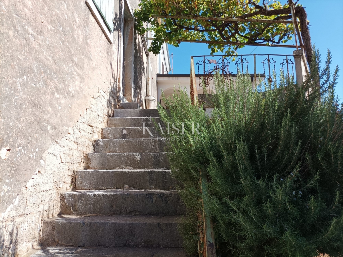 Istria - Visignano, due case antiche con giardino