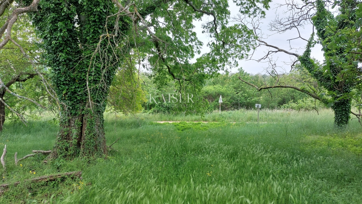 Tenute Vižinada, 90.000m2