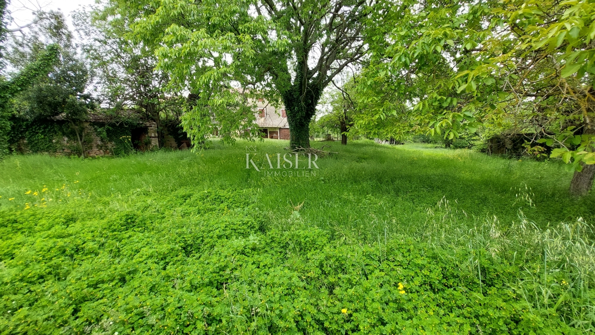 Tenute Vižinada, 90.000m2